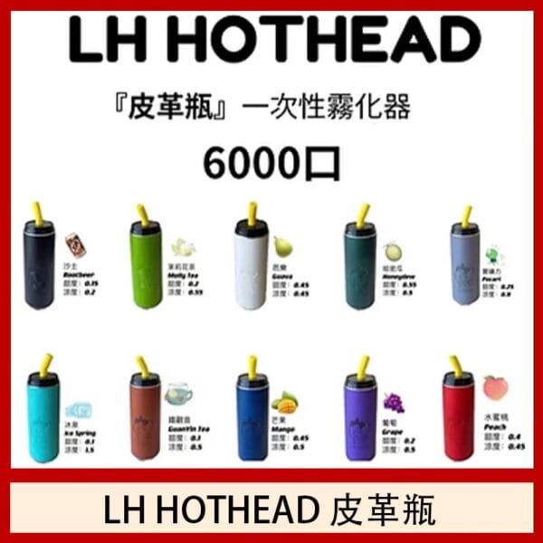 LH HOTHEAD皮革瓶電子煙可充電6000口一次性