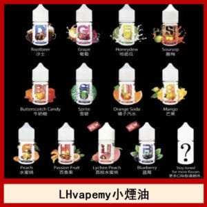 LHvapemy馬來西亞主機小煙油30ml